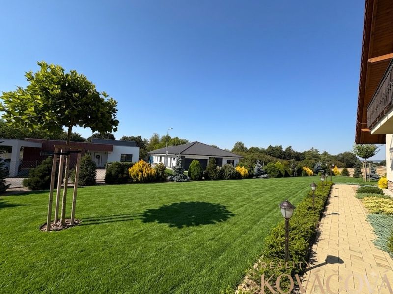 The garden of a family house in Trenčianska Turná, lawn, walkway, and decorative trees.