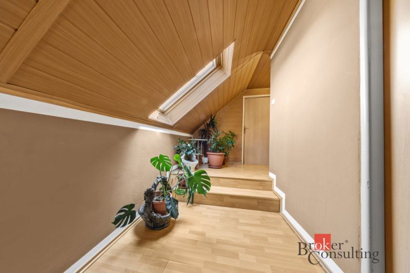 Attic hallway with plants and wooden decor flooring in a family house.