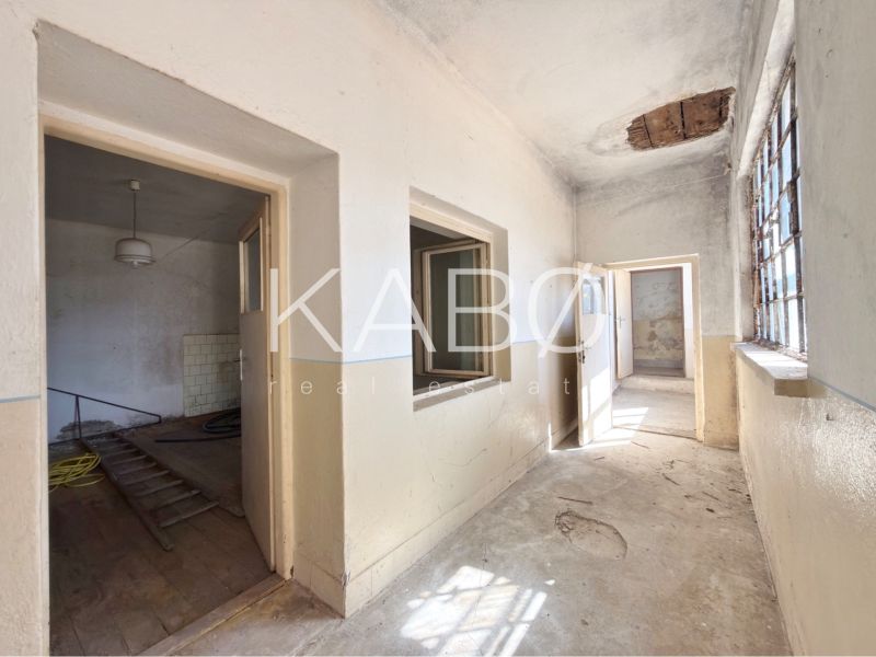 The interior of a family house with peeling walls, light streaming through the windows.