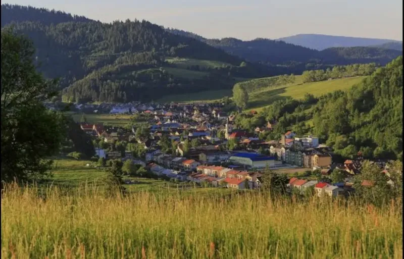 Panorama of Vyšné Ružbachy with surrounding hills and greenery in Special Properties.