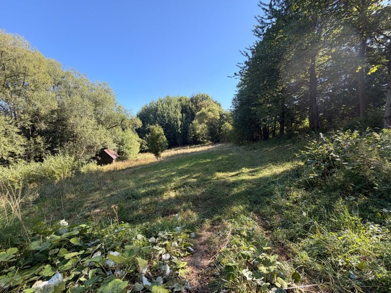 Greenery and forest area in Králiky suitable for Residential Land.