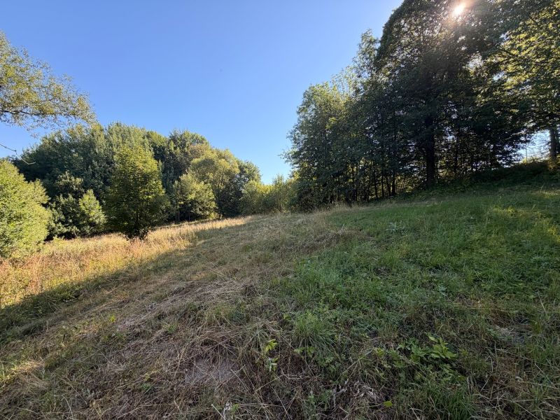 A peaceful landscape around the forest in Králiky, suitable for residential plots.