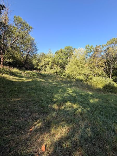 Green meadow with forest and blue sky in Králiky, residential plots.