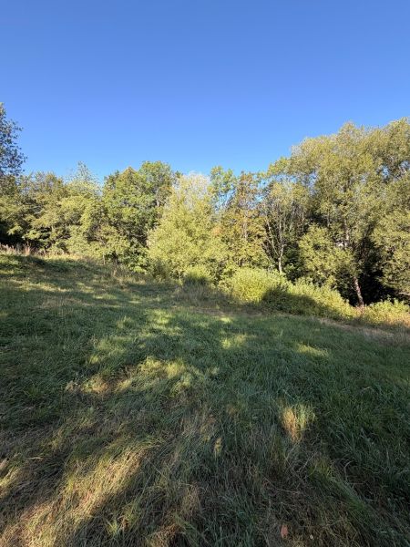 A grassy plot in Králiky, surrounded by forest. Suitable for residential land.