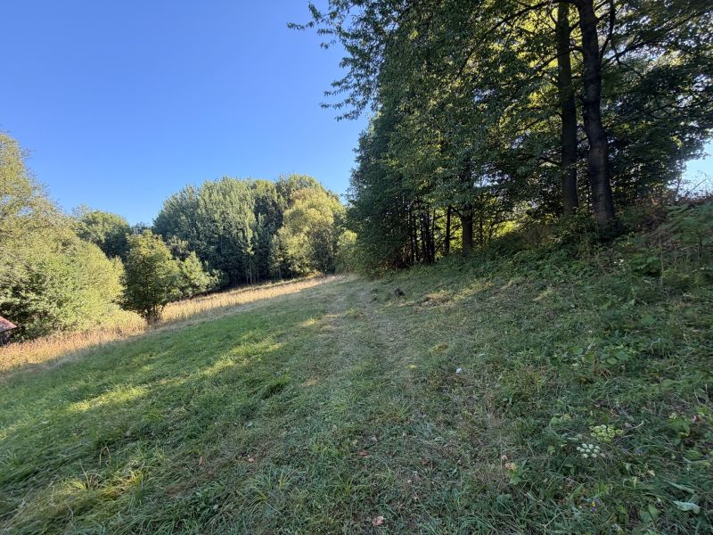 A green meadow around Králiky, surrounded by trees, ideal for residential plots.