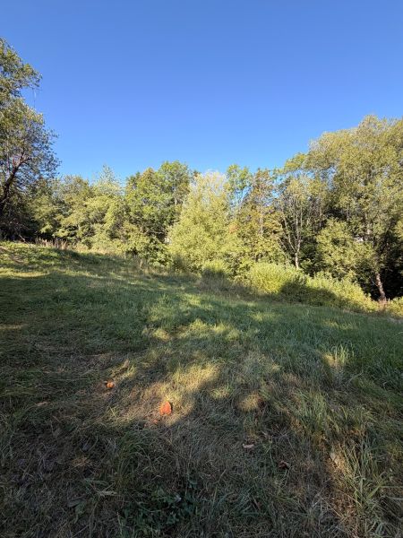 A grassy area surrounded by trees in the Králiky location suitable for plots - housing.