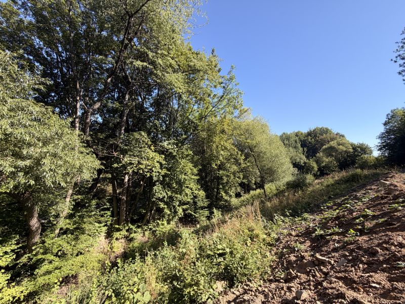 View of wooded plots - living in Králiky with sloping terrain.