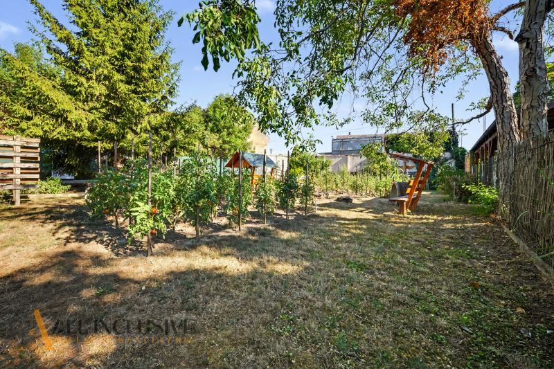 A garden in Pezinok with fruit trees and vegetables, suitable for residential land.