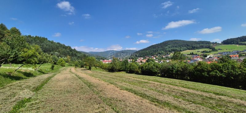 The landscape in Nesluša with plots suitable for living, surrounded by nature and houses.