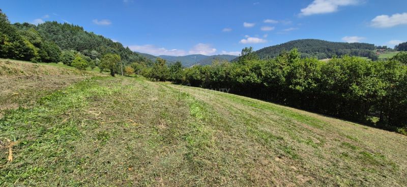 Beautiful view of residential plots in Nesluša surrounded by forests and nature.