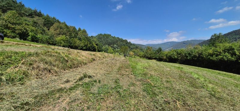 Beautiful green landscape in Nesluša suitable for residential plots with a view of the mountains.