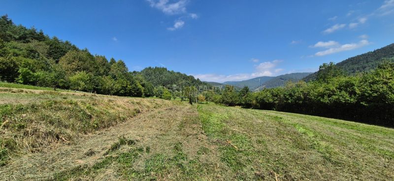 Plots - living in Nesluša, green landscape with hills and clear skies.