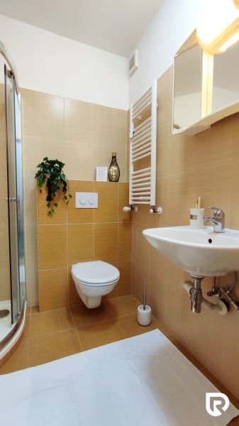A bathroom in a 2-room apartment with a shower, beige tiles, and a plant.