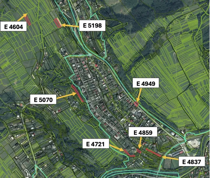Cadastral map of agricultural and forest land in Olešná with marked parcels.
