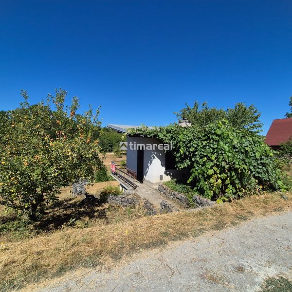 A cottage in Myjava surrounded by fruit trees and lush greenery under a blue sky.