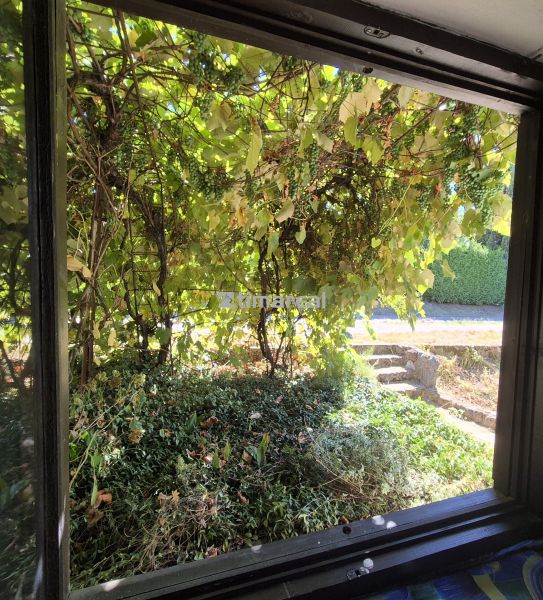 A view from the cottage in Myjava of the greenery and vineyard in front of the window.