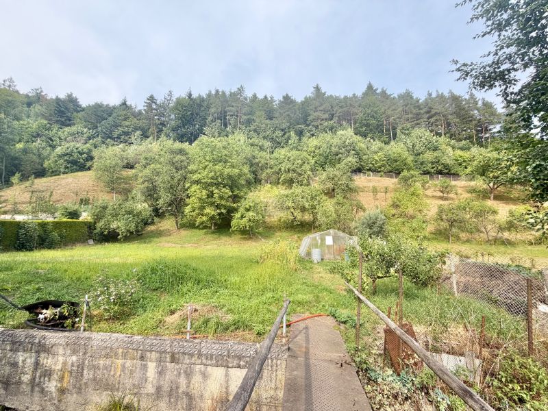 The garden of a family house in Ochodnica on Ochodnica Street with hilly terrain and trees.