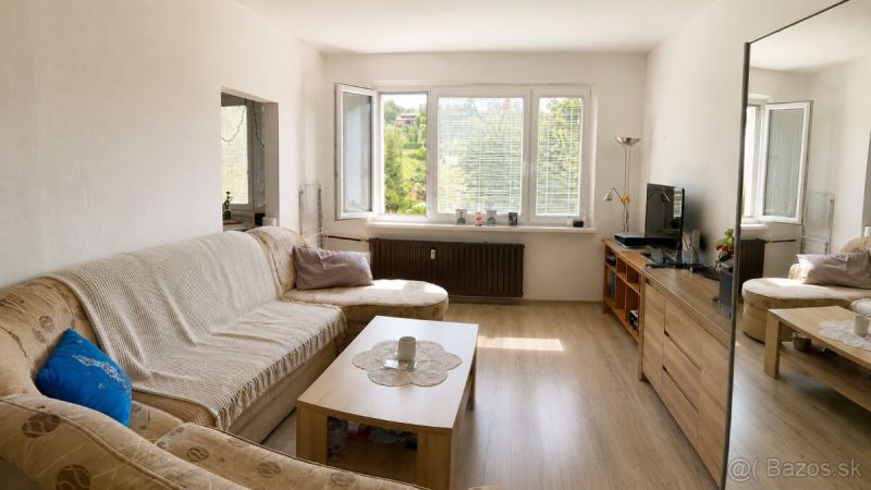 Living room in a 3-room apartment with a sofa and wooden decor flooring.