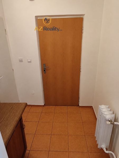 Entrance hallway with tiles, door, and radiator in a studio apartment.