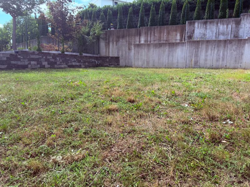 The garden of a family house on Zadarská Street in Banská Bystrica with a green lawn.
