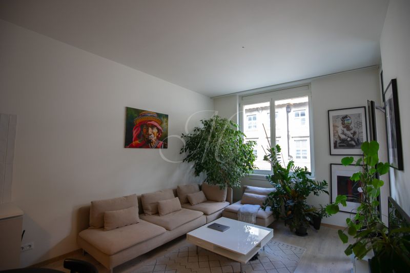 Living room with a sofa, plants, paintings, and a wooden decor floor in a 2-room apartment.