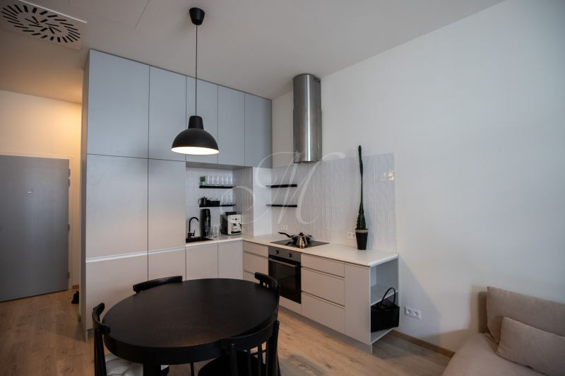 A kitchen in a 2-room apartment with a black table and a wooden decor floor.