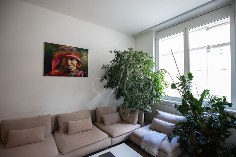 Living room in a two-room apartment with plants, painting, and natural light.