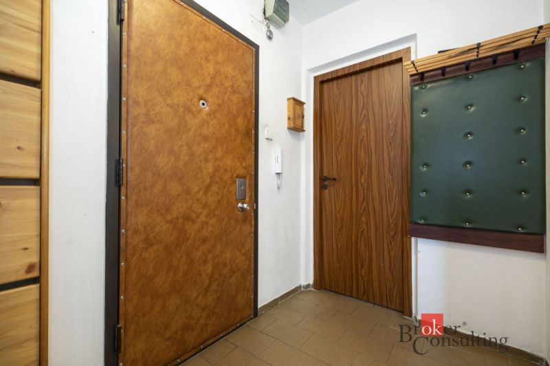 The entrance hall of a 4-room apartment with doors featuring a wood decor and a coat rack wall.