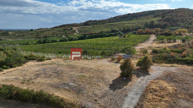 Plots - living in Modra, vineyards and hills under the blue sky, natural scenery.