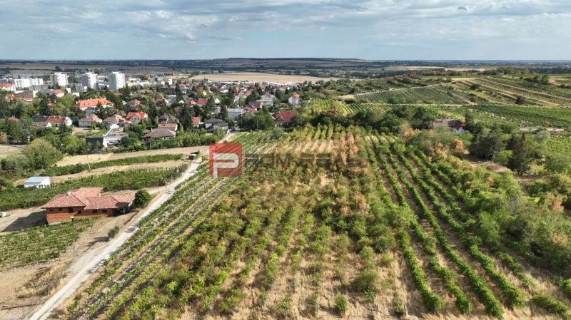 Vast vineyards and houses in the town of Modra, suitable plots for living.