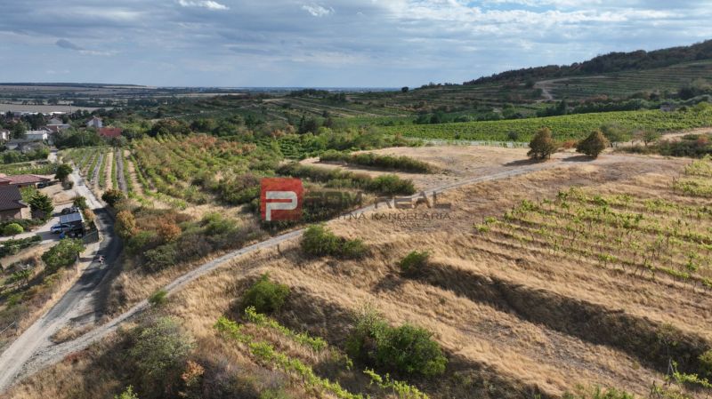Vineyards and roads in the hills near Modra suitable for plots - housing.