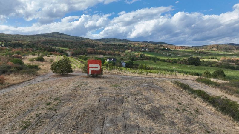 Hilly landscape in Modra, residential land surrounded by nature and vineyards.