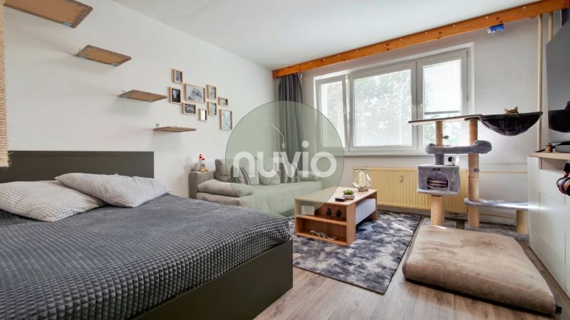 Bedroom in a 2-room apartment with a sofa, bed, shelves, carpet, and cat scratcher.