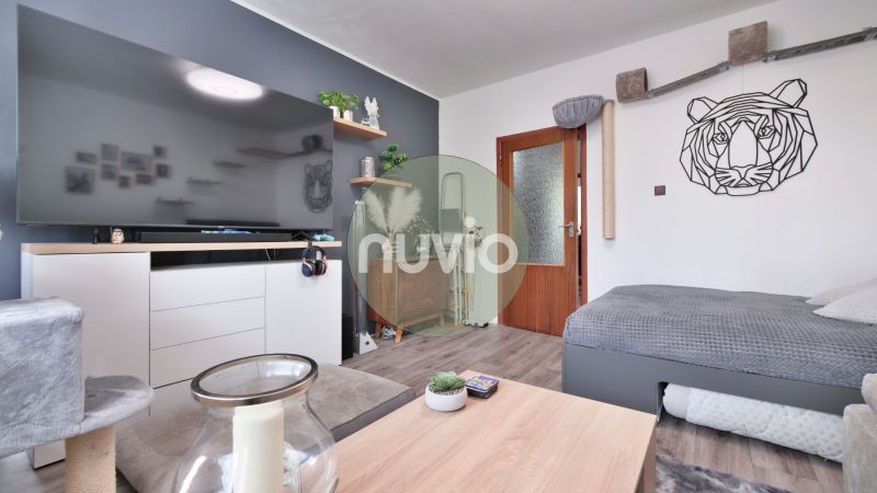A bright living room with a large TV, decorations, and a wooden-patterned floor in a two-room apartment.