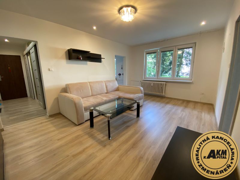 Living room in a two-room apartment with a sofa and wooden decor flooring.