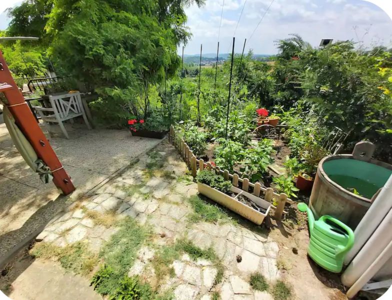 A garden at a family house in Piešťany with rich vegetation and comfortable seating.