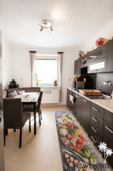 A kitchen in a family house with dark furniture, a decorative rug, and natural daylight.