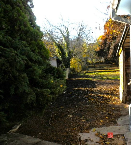 A garden at a family house in Budmerice with greenery and trees in the autumn season.
