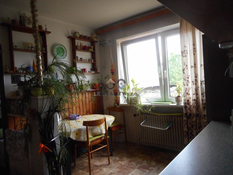 Kitchen in a family house with a table, plants, and a large window.