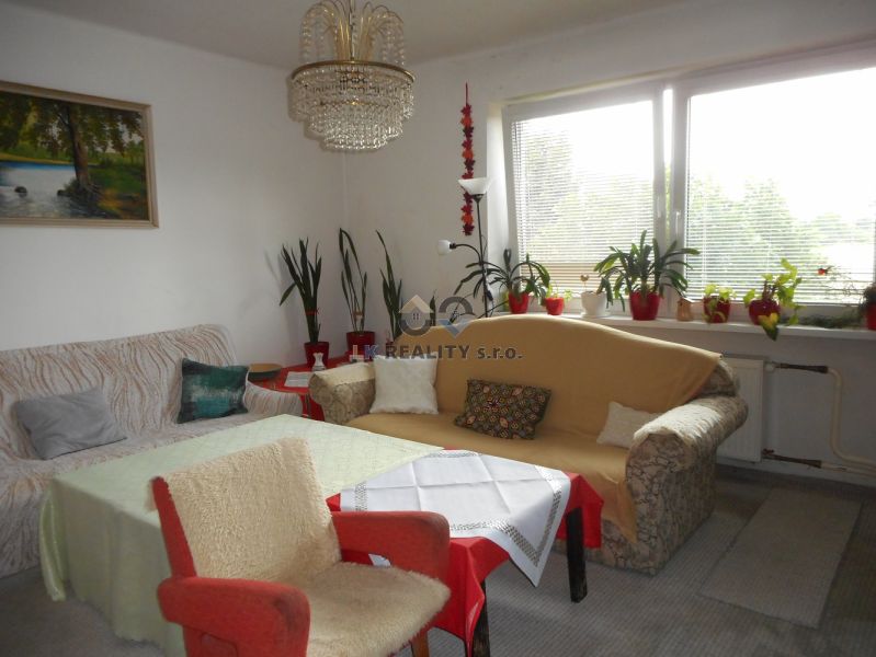 Living room of a family house with a sofa, armchair, houseplants, and a chandelier.