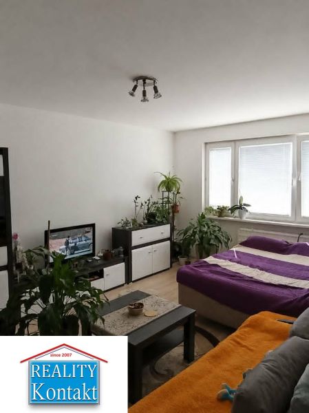 Living room with furniture and plants in a 2-room apartment with wood-patterned flooring.