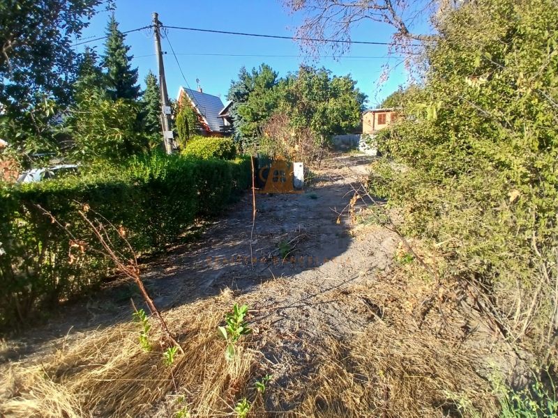 A plot for residential purposes in Vojka nad Dunajom, surrounded by greenery and shrubs.