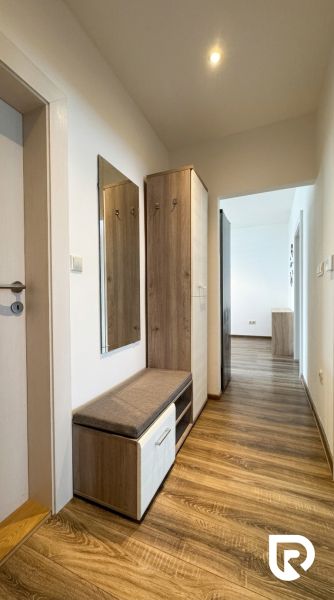 Hallway of a 2-room apartment with a wooden decor floor, a wardrobe, and a mirror.