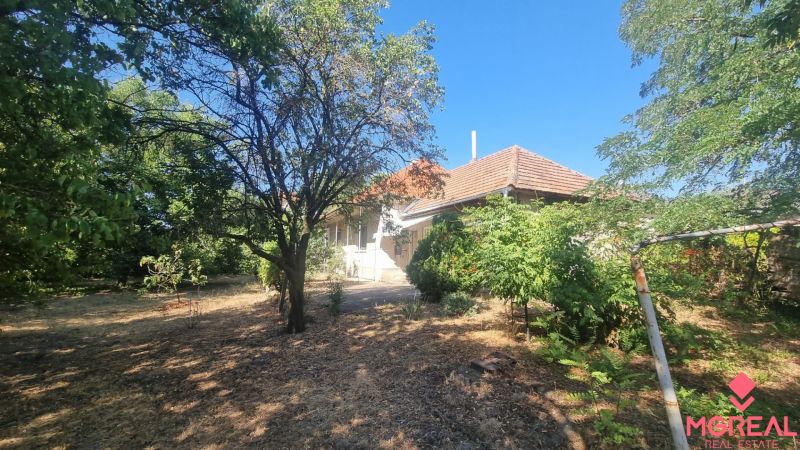A family house in Moča surrounded by greenery, with a classic sloped roof and a garden.