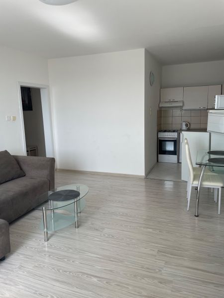 Studio apartment with a light wood-patterned floor, a sofa, and a glass table.