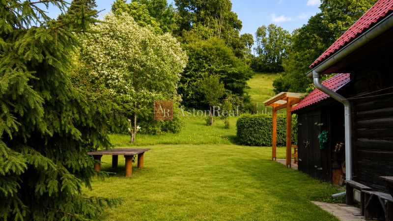 A garden near the cottage in Beňadiková with a grassy area and trees.