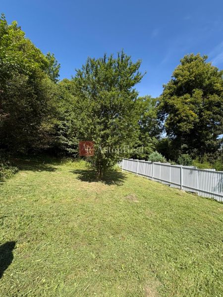 A grassy plot near a cottage in Beňadiková with trees and a fence in a sunny location.