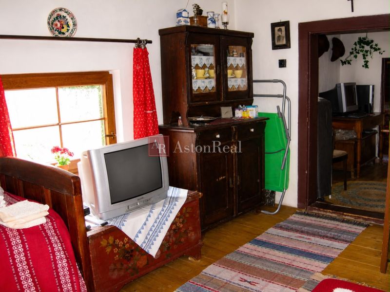 Interior of a cabin with a television, traditional furniture, and a floor with wooden decor.