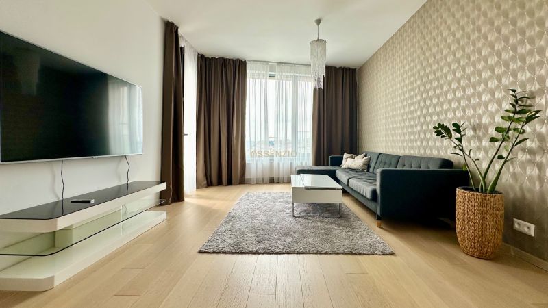 Living room in a 2-room apartment with a television, sofa, wooden decor flooring, and a plant.
