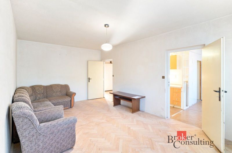 Living room in a 2-room apartment with a sofa and a wooden decor floor.
